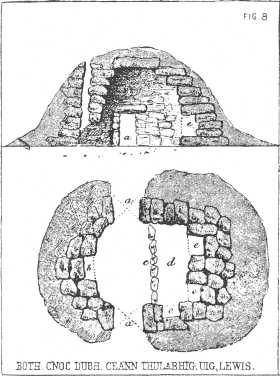 Plate II.--Fig. 8.