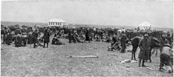 MEN WHO UNDERGO GREAT HARDSHIPS IN THEIR PURSUIT OF REBELS: A BIVOUAC OF SOUTH AFRICAN LOYALISTS.