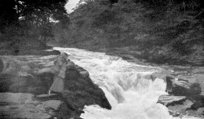 The foaming cauldron of the Strid