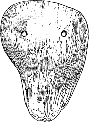 shell ornament