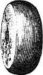 shell bead, side