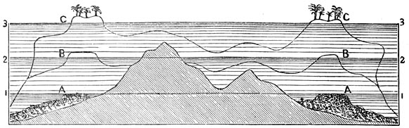 Fig. 120. Vertikale doorsnede van een koraaleiland op verschillende tijdstippen.