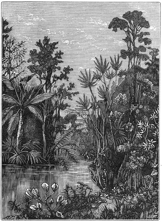 Fig. 273. Een landschap der krijtperiode. (Boheme).