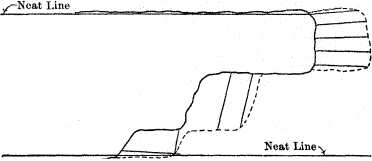 longitudinal section