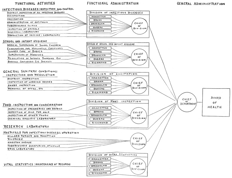 Chart Showing how New York City's Department of Health Exercises it's Authority