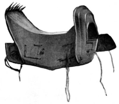 Spiked Saddle