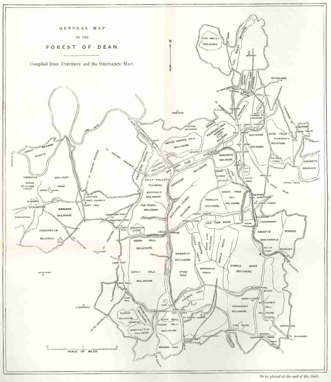 Map of the Forest