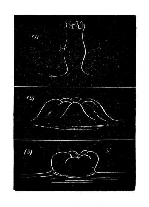 The Splash of a Solid Sphere—(continued.)
When the sphere is rough or wet, and falls above 5 feet.