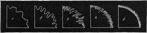 Fig. 149.—Edges of colonies: e, Lobar-lobulate; f,
auriculate; g, lacerate; h, fimbriate; i, ciliate.