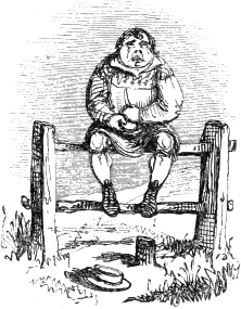 boy sitting on a stile