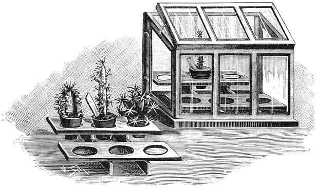 Fig. 186. Kamerkasje voor kleine Cacteeën.