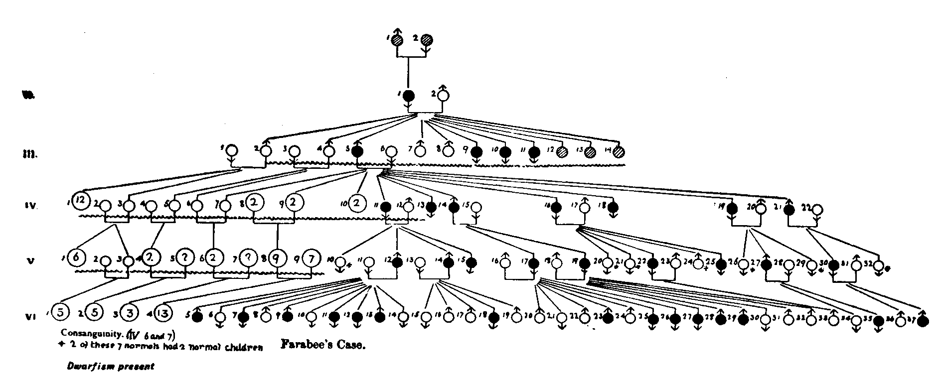 Fig. 13.