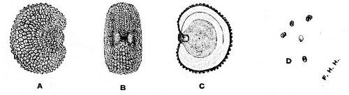 Fig 69.