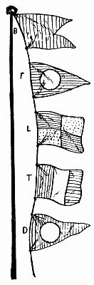 Fig. 91.—Signal Flags: B, Red; F, Blue, White Circle; L,
Blue and Gold (Yellow); T, Red, White, Blue; D, Red, White
Circle. Can you read the Order?