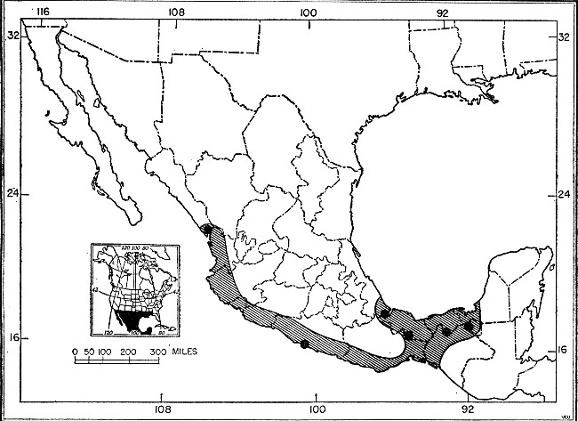 Fig. 1. Map showing localities from which Myotis
fortidens has been recorded.