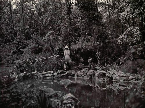 PLATE 46 Section of a wild garden at Tuxedo Park, N. Y.