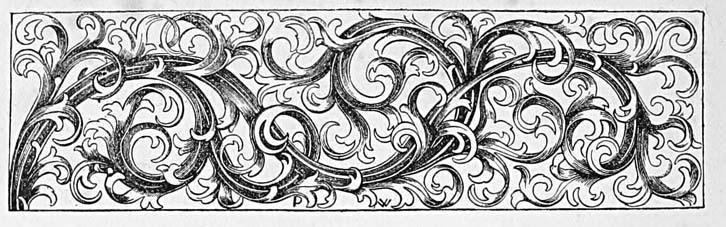 Paisley Border