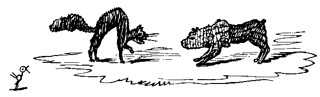 A slight difference arises between the housekeeper's cat
and the butcher's dog, who has just come out in his summer costume.
