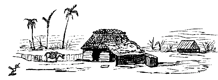 A Planter's Hut, and three scraggly Palm Trees in the dim
distance.
