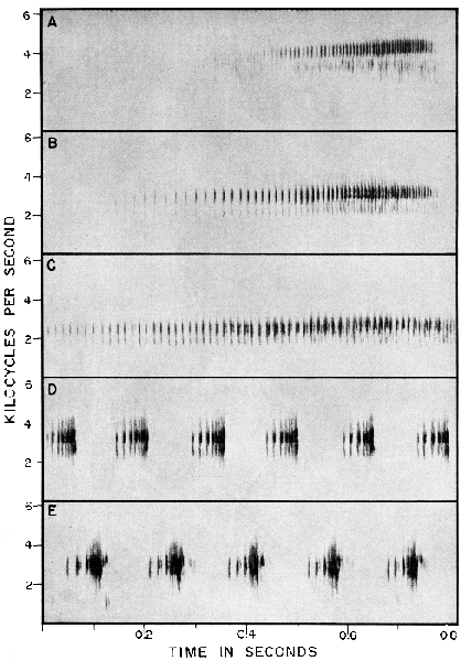 Audiospectrographs