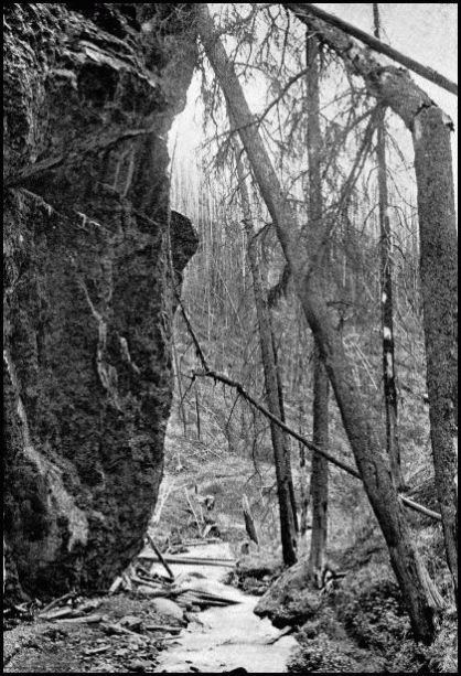 SUN DANCE CANYON, BANFF