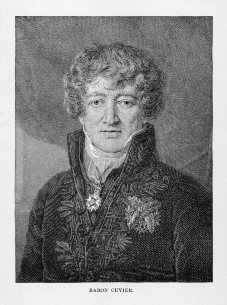 BARON CUVIER.