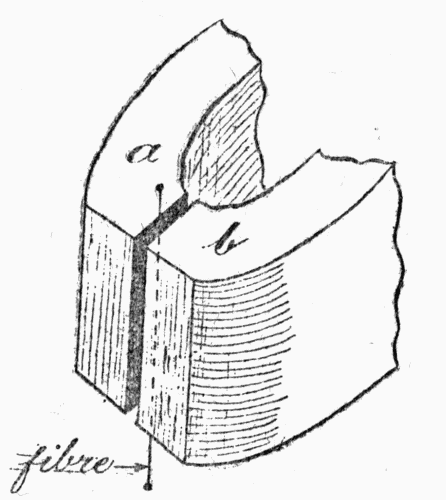 Fig. 2.—Here we see the working
parts of the "String Galvanometer,"
by which the beating of the heart can
be registered electrically. The current
flows down the fine silvered fibre, between
the poles, a and b, of a powerful
magnet. As the current varies, the fibre
bends more or less.