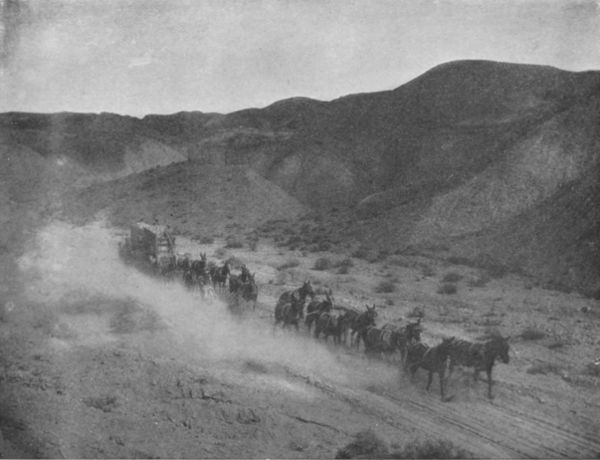 TEAMING IN DEATH VALLEY