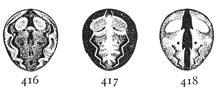 Figs. 416, 417, 418. Markings of the
abdomen of Epeira parvula.