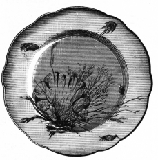 Fig. 19.—Limoges Porcelain Plate. Painted by Pallaudre.
(Thomas Scott Coll.)