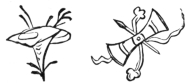 Fig. 79.—Celosia.
Fig. 80.—Treasures of Writing.