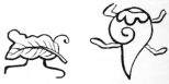 Fig. 81.—Outang.
Fig. 82.—A Shell.