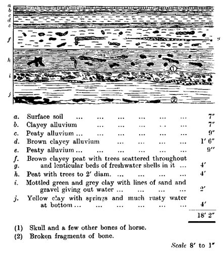 Section seen in pit dug for material for making
up the roadway