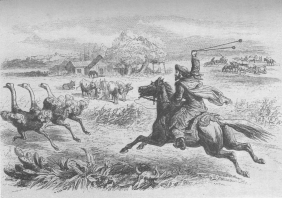 Gaucho en el Acto de Arrojar un Tiro de Bolas

Hutchinson, Buenos Aires and Argentine Gleanings