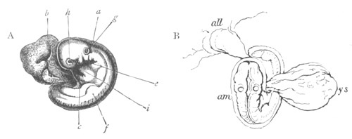 Illustration: Figure 166