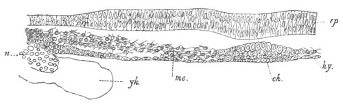 Illustration: Figure 189