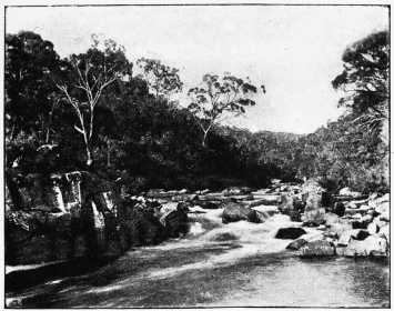 ON THE ESK RIVER, TASMANIA

(From a photograph by Major Aikenhead, Launceston)
