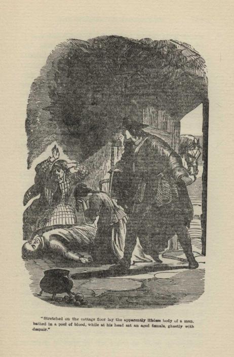 "Stretched on the cottage floor lay the apparently lifeless body of a man, bathed in a pool of blood, while at his head sat an aged female, ghastly with despair."