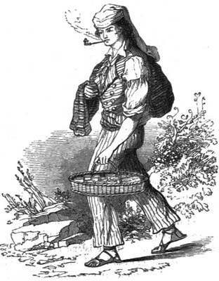 A MALTESE PEASANT