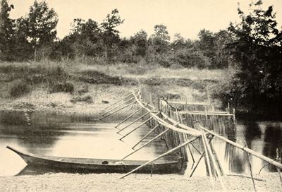 Indian salmon weir