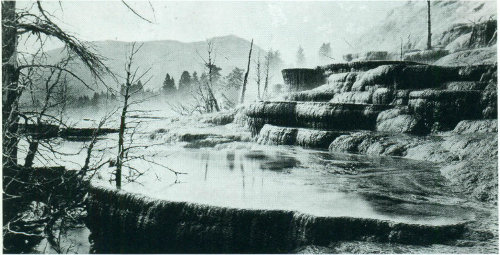 Mammoth Hot Springs, Yellowstone National Park, Wyoming.