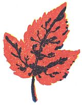 red leaf