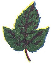 green leaf