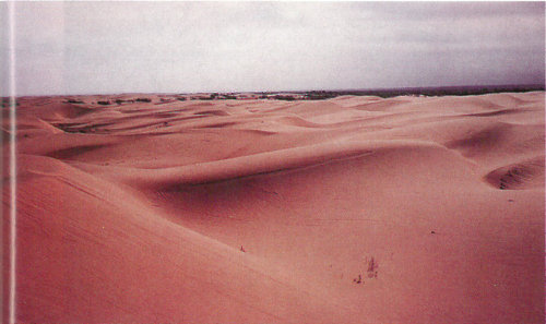 A rare rain in the Tengger, a midlatitude desert of China, exposes ripples and a small blowout on the left. Winds will shortly cover or remove these features.