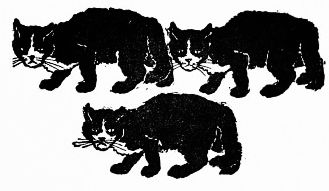 three black cats