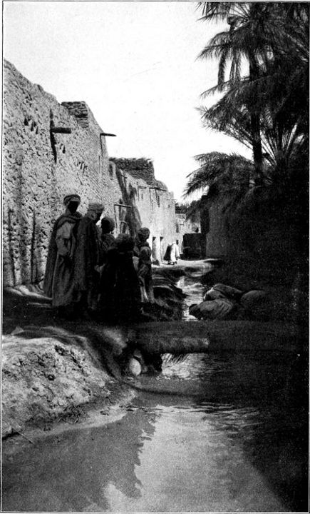 An der Seguia in Biskra