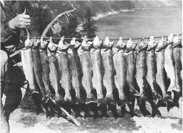 Crawford photo FISHERMEN DISPLAY THEIR AFTERNOON CATCH