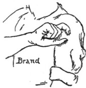 Brand