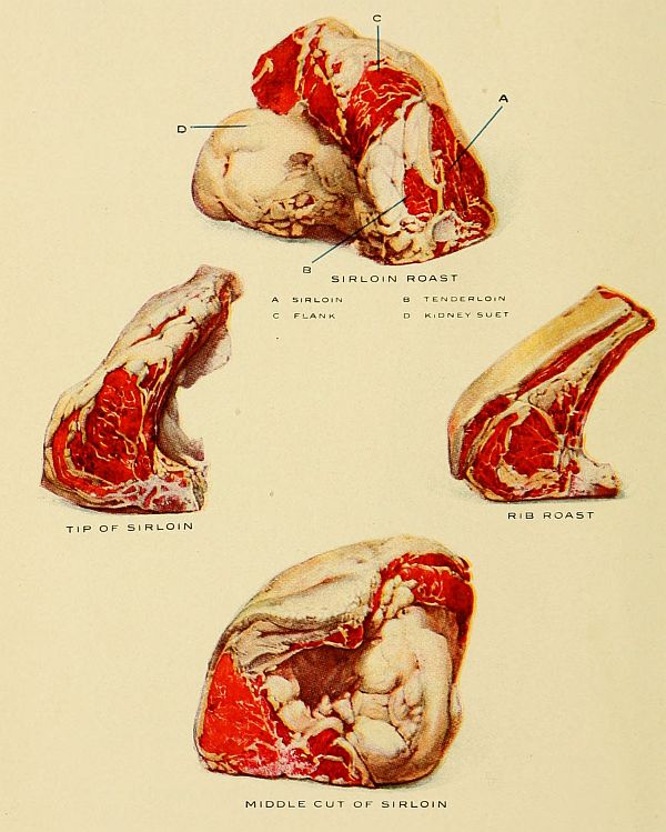 SIRLOIN ROAST, SIRLOIN, TENDERLOIN, FLANK, KIDNEY SUET, RIB ROAST, TIP OF SIRLOIN, MIDDLE CUT OF SIRLOIN