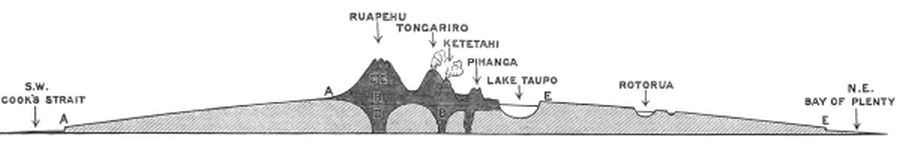 TRANSVERSE SECTION